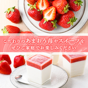 冷凍あまおう(約1.5kg) 苺 いちご イチゴ フルーツ 果物 くだもの 手作り スイーツ スムージー ジャム<離島配送不可>【ksg1252】【THE FARM_strawberry】
