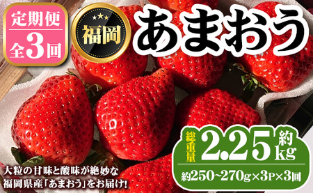 《先行予約受付中・数量限定》＜定期便・全3回（1月・2月・3月）＞2025年1月からお届け！いちご定期便 あまおう(総重量約2.25kg・約250～270g×3P×3回) いちご 苺 あまおう くだもの フルーツ 定期便 ＜離島配送不可＞【ksg1255】【THE FARM_strawberry】