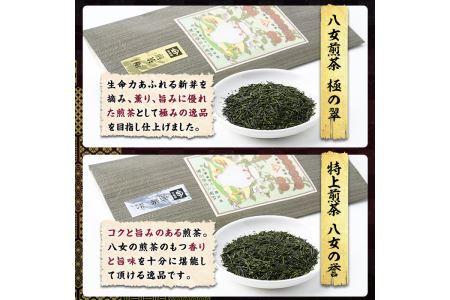 八女茶煎茶セット 極・ 誉・宝の翠(合計135g・45g×3本) 緑茶 せん茶 お茶 許斐本家 福岡 やめ【ksg1315】【くしだ企画】