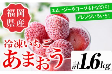 訳あり いちごの王様【あまおう】冷凍いちご (計1.6kg) 苺 いちご あまおう フルーツ 果物 冷凍 数量限定＜離島配送不可＞【ksg1322】【よっちゃんファーム】