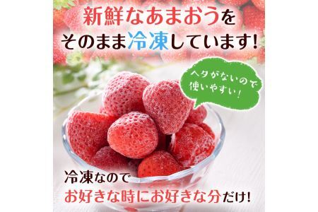 訳あり いちごの王様【あまおう】冷凍いちご (計1.6kg) 苺 いちご あまおう フルーツ 果物 冷凍 数量限定＜離島配送不可＞【ksg1322】【よっちゃんファーム】