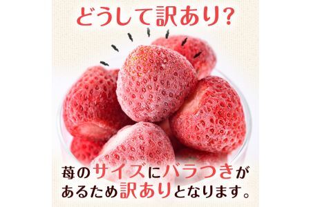 訳あり いちごの王様【あまおう】冷凍いちご (計1.6kg) 苺 いちご あまおう フルーツ 果物 冷凍 数量限定＜離島配送不可＞【ksg1322】【よっちゃんファーム】