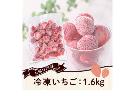 訳あり いちごの王様【あまおう】冷凍いちご (計1.6kg) 苺 いちご あまおう フルーツ 果物 冷凍 数量限定＜離島配送不可＞【ksg1322】【よっちゃんファーム】