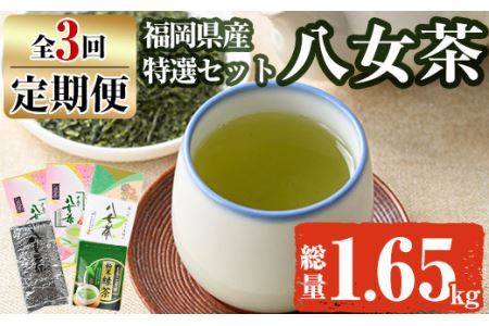 【ksg1371】＜定期便・全3回(連続)＞福岡銘茶八女茶 特選セット(総量1.65kg)【マル五】