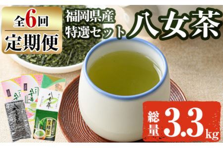 【ksg1373】＜定期便・全6回(連続)＞福岡銘茶八女茶 特選セット(総量3.3kg)【マル五】