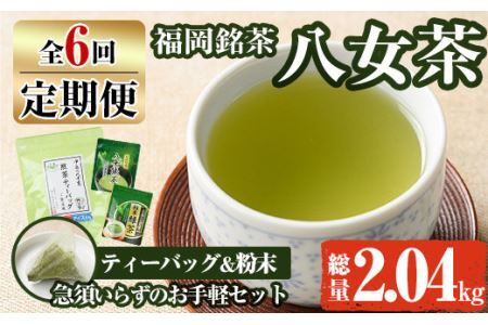【ksg1376】＜定期便・全6回(連続)＞福岡銘茶八女茶 急須要らずのお手軽セット(便利なチャック付)(総量2.04kg)【マル五】