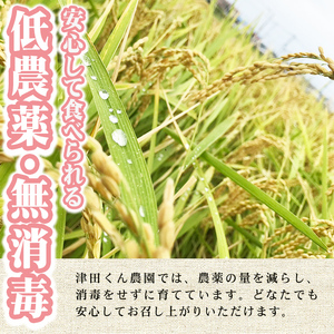 ＜先行予約受付中！2025年10月から2026年4月末にかけて順次発送予定＞津田くん農園の夢つくし(5kg) お米 白米 5キロ ごはん ご飯 【ksg1327】【くしだ企画】