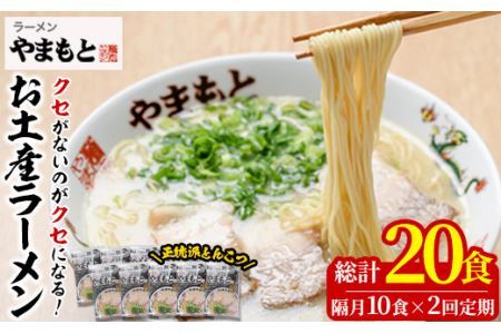 ＜定期便・全2回(隔月)＞お土産ラーメン 豚骨ラーメン(総量20食・10食×2回)とんこつ 豚骨 福岡 筑前ラーメン 常温 常温保存 定期便【ksg1441】【ラーメンやまもと春日本店】