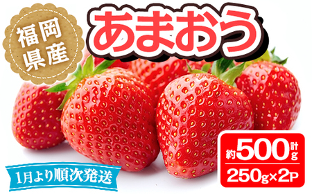 <先行予約受付中!2026年1月より順次発送予定>福岡県産 あまおう(計約500g・250g×2P)いちご 苺 フルーツ 果物 くだもの 冷蔵 <離島配送不可>【ksg1489】【エフビーネット】
