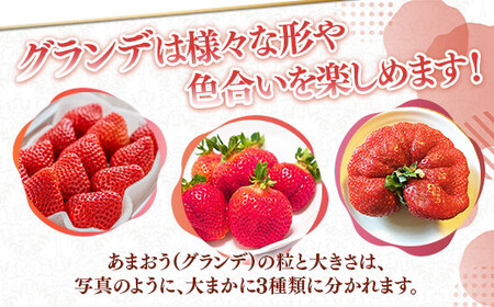 <先行予約受付中!2026年1月より順次発送予定>福岡県産 あまおう(計約500g・250g×2P)いちご 苺 フルーツ 果物 くだもの 冷蔵 <離島配送不可>【ksg1489】【エフビーネット】