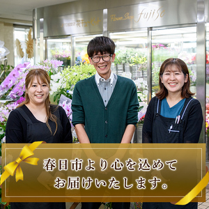プロにおまかせ！フラワーブーケ(一束：約高さ35cm幅30cm) 花 ギフト プレゼント 生花 花束 記念日 お祝い ＜離島配送不可＞【ksg1534】【花のふじせ】