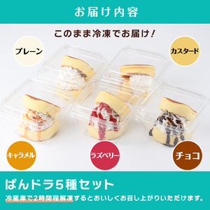 フワフワパンケーキ ぱんドラ5種セット(合計5個・プレーン・チョコ・カスタード・ラズベリー・キャラメル) パン どら焼き おやつ デザート スイーツ お菓子 カナの魔法たまごCafe＜離島配送不可＞【ksg1550】【MEATPLUS】