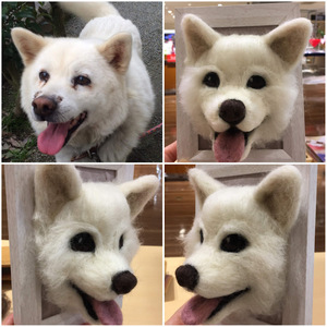 オーダーメイドで作る愛犬・愛猫のフレーム(1個) ペット 犬 猫 オーダーメイド オリジナル ギフト プレゼント 贈答 手作り フレーム 数量限定 【ksg1672】【羊のしっぽ】