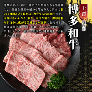 ＜全3回定期＞博多和牛焼肉用(総計1.5kg)牛肉 黒毛和牛 国産 BBQ 化粧箱 贈答 ギフト プレゼント 定期便＜離島配送不可＞【ksg1719】【MEATPLUS】