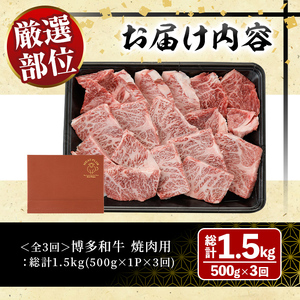 ＜全3回定期＞博多和牛焼肉用(総計1.5kg)牛肉 黒毛和牛 国産 BBQ 化粧箱 贈答 ギフト プレゼント 定期便＜離島配送不可＞【ksg1719】【MEATPLUS】