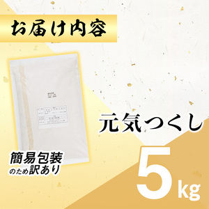 ＜訳あり・簡易包装＞＜数量限定＞元気つくし 精白米 (5kg)お米 米 精白米 訳あり 国産 福岡県産 ブランド米 5kg 数量限定 常温＜北海道・沖縄・離島配送不可＞【ksg1780】