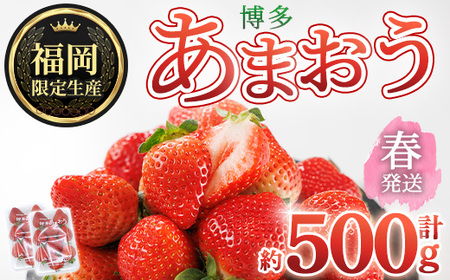＜先行予約受付中！2026年2月上旬～2026年4月下旬に順次発送予定＞ 博多あまおう・春 (計約500g) いちご 苺 フルーツ 果物 くだもの 福岡限定 家庭用 冷蔵＜離島配送不可＞【ksg1739】【農産物直売所ほたるの里】