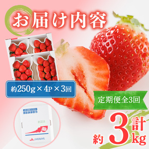 <全3回定期便・先行予約受付中!2026年2月上旬~2026年4月下旬に順次発送予定> 博多あまおう (総計約3kg) いちご 苺 フルーツ 果物 くだもの 福岡限定 家庭用 冷蔵 定期便 <離島配送不可> 【ksg1743】【農産物直売所ほたるの里】