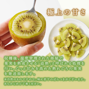 <先行予約受付中!2026年11月上旬~11月下旬に順次発送予定>福岡県ブランド キウイフルーツ 博多 甘うぃ 化粧箱入り (約計1.4kg:大玉9玉) キュウイ あまうぃ フルーツ 果物 くだもの 化粧箱<離島配送不可> 【ksg1752】【農産物直売所ほたるの里】