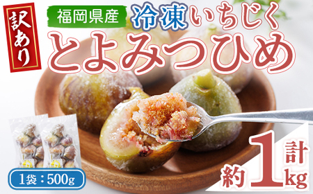 ＜不揃い・訳あり＞ 冷凍いちじく博多 とよみつひめ (計約1kg) 冷凍 いちじく イチジク フルーツ 果物 くだもの 福岡限定 オリジナルブランド＜離島配送不可＞ 【ksg1756】【農産物直売所ほたるの里】