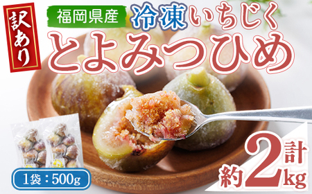 <不揃い・訳あり> 冷凍いちじく博多 とよみつひめ (計約2kg) 冷凍 いちじく イチジク フルーツ 果物 くだもの 福岡限定 オリジナルブランド<離島配送不可> 【ksg1757】【農産物直売所ほたるの里】