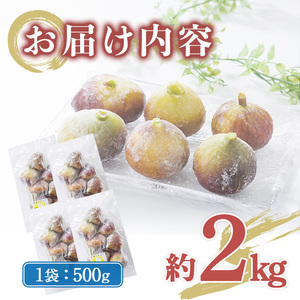 <不揃い・訳あり> 冷凍いちじく博多 とよみつひめ (計約2kg) 冷凍 いちじく イチジク フルーツ 果物 くだもの 福岡限定 オリジナルブランド<離島配送不可> 【ksg1757】【農産物直売所ほたるの里】