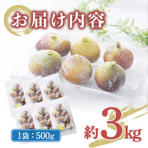 <不揃い・訳あり> 冷凍いちじく博多 とよみつひめ (計約3kg) 冷凍 いちじく イチジク フルーツ 果物 くだもの 福岡限定 オリジナルブランド<離島配送不可> 【ksg1758】【農産物直売所ほたるの里】