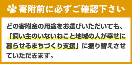 飼い主のいないねこと地域の人が幸せに暮らせるまちづくり支援 (返礼品なし) 猫 ねこ 地域猫 支援 TNR活動 去勢 【ksgsn02】【福岡県春日市】