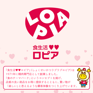 【隔月6回定期】ロピア 冷凍ピザ マルゲリータ (総計60枚・10枚×6回) LOPIA ピザ ＜離島配送不可＞ 【ksg1819】【ロピア】