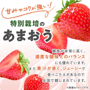 【数量限定】特別栽培あまおう4パック【2025年12月より順次発送】_果物・フルーツ いちご イチゴ 苺_【配送不可地域:離島】【1445836】