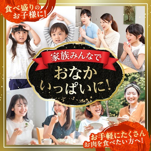 【A4ランク以上】大満足! 博多和牛切り落とし 1.2kg(600g×2p)_肉 黒毛和牛 牛肉 _【配送不可地域:離島】【1505104】