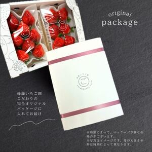 【先行予約】福岡県産あまおう 約270g×4パック【配送不可地域：離島】【1177858】