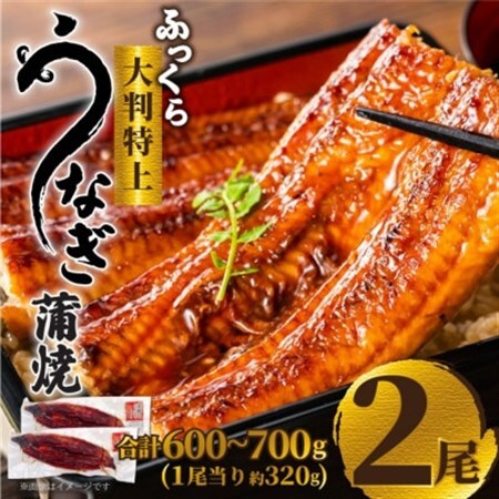 大野城市限定!ふっくら大判特上うなぎ蒲焼　計約600～700g(約320g×2尾)【配送不可地域：離島】【1646340】