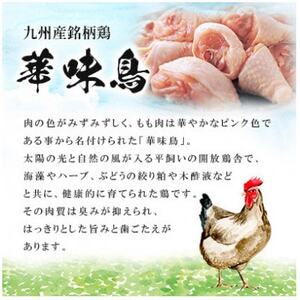 博多華味鳥 水たきセット 3～4人前 柚胡椒付(大野城市)【配送不可地域：離島】【1641901】