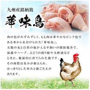 【毎月定期便】博多華味鳥 水たきセット 3～4人前 柚胡椒付(大野城市)全6回【配送不可地域：離島】【4074397】