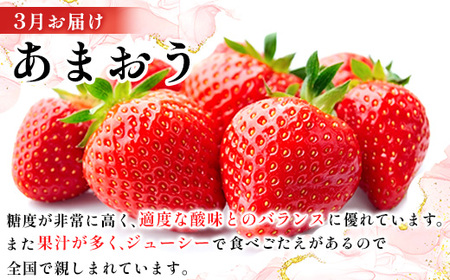 【発送月固定定期便】季節ごとに福岡の味覚をお届け!あまおう・明太子・もつ鍋の贅沢定期便全3回【配送不可地域：離島】【4014670】