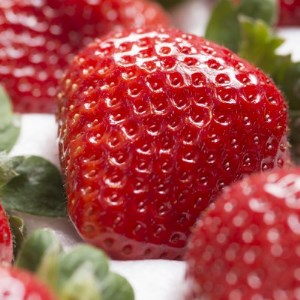 【11月下旬より順次発送】フルーツ専門店が選んだ「あまおう苺」ギフト箱(12-15粒)(大野城市)_いちご 苺 イチゴ フルーツ 果物 くだもの ふるーつ 青果 あまおう 旬 人気 産直 農家直送 国産 希少 品種 ギフト 贈答_【配送不可地域：離島】【1083238】