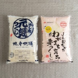 果物屋さんが選んだ米食べ比べ「夢つくし＆元気つくし」5kg×2袋(大野