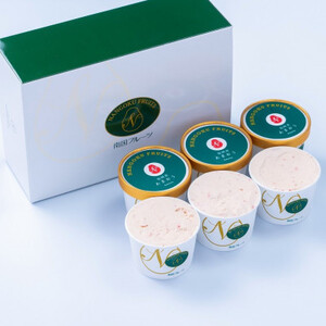 【2026年4月以降順次発送】こだわり!福岡産あまおうジェラート100g×6個(大野城市_菓子・スイーツ アイス・ジェラート _【配送不可地域:離島】【1110602】