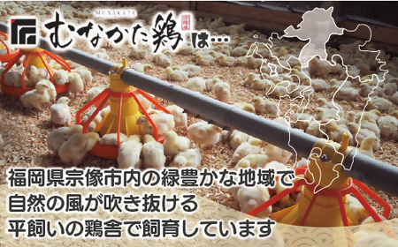 宗像産ブランド鶏【むなかた鶏】ムネ肉4kg(平飼い)【JAほたるの里】_HA1419