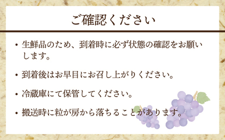 【2026年収穫分 先行予約】【JAむなかたより】巨峰1.2kg【JAほたるの里】_HA1476