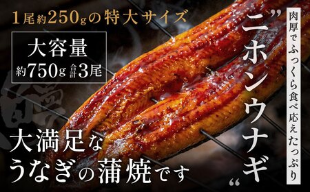 うなぎ蒲焼き3尾セット(約250g×3尾セット)【FLOWER】_HA1494