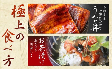 うなぎ蒲焼き(約100g)×7Pセット【魚住商店】_HA1495
