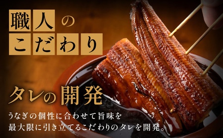 刻みうなぎ蒲焼き(約100g×8Pセット)【魚住商店】_HA1533