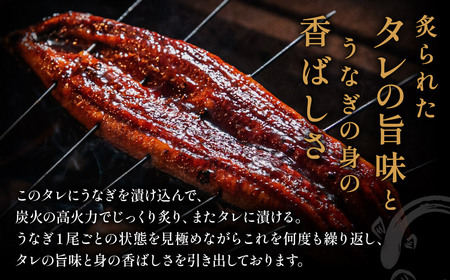 刻みうなぎ蒲焼き(約100g×8Pセット)【魚住商店】_HA1533