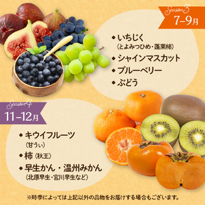 何が届くかお楽しみ!むなかた旬のフルーツ福袋定期便【年4回】【JAほたるの里】_HB0165