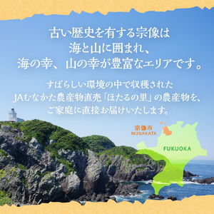 何が届くかお楽しみ!むなかた旬のフルーツ福袋定期便【年4回】【JAほたるの里】_HB0165