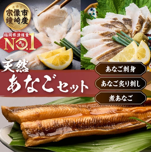 あなごセット（あなご炙り刺し、あなご刺身、煮あなご）【宗像漁協】_HA1518