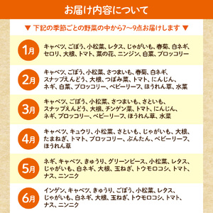 【毎月お届け】むなかた旬のお任せセット(野菜)7~9品【JAほたるの里】_HB0173
