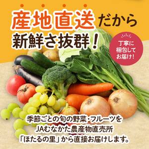 【毎月お届け】むなかた旬のお任せセット（野菜・フルーツ）9～11品【JAほたるの里】_HB0175